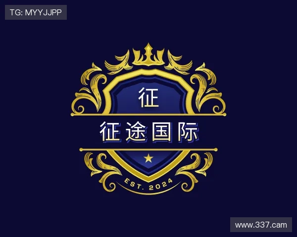 关于征途国际